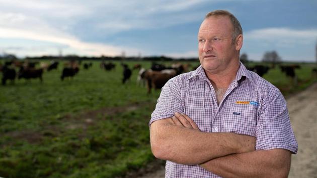 The prices paid on the black market are not known but Harry Stanway, a farmer who now works as a stock agent in the South Island’s Canterbury region, said it was enough to fuel an increasing rustling problem. “It’s pretty gut-wrenching, it’s like someone coming to your house and taking everything out of it, They’re taking your livelihood, it’s not a nice feeling,” he added. (Marty Melville / AFP) The prices paid on the black market are not known but Harry Stanway, a farmer who now works as a stock agent in the South Island’s Canterbury region, said it was enough to fuel an increasing rustling problem. “It’s pretty gut-wrenching, it’s like someone coming to your house and taking everything out of it, They’re taking your livelihood, it’s not a nice feeling,” he added. (Marty Melville / AFP)