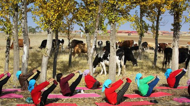 International Yoga Day 2019: A government official at a village 300 km from Beijing said yoga has improved the quality of lives of the villagers.(HT Photo)