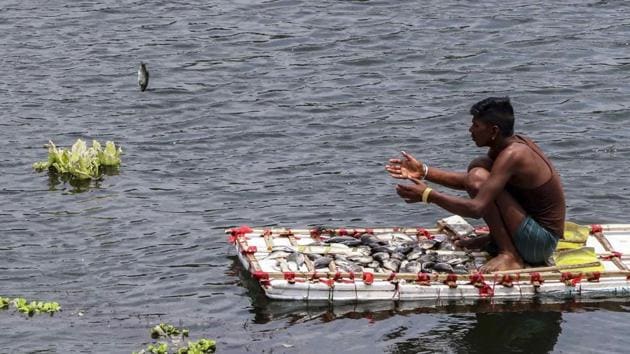 A group of fishermen in Odisha’s Bhadrak district have caught several rare Ghol fish, known for their medicinal value, and sold one of them at whopping <span class='webrupee'>₹</span>6,000 per kilogram.(Rishikesh Choudhary/HT Representative Image) A group of fishermen in Odisha’s Bhadrak district have caught several rare Ghol fish, known for their medicinal value, and sold one of them at whopping <span class='webrupee'>₹</span>6,000 per kilogram.(Rishikesh Choudhary/HT Representative Image)