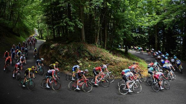 The pack rides in curves through a wood during the seventh stage of the 71st edition of the Criterium du Dauphine cycling race, 133,5 km between Saint-Genix-les-Villages and Les Sept Laux-Pipay in France. (Anne-Christine Poujoulat / AFP)