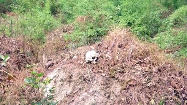 Skeletal remains have been discovered lying in open, in a forest near the government-run Sri Krishna Medical College and Hospital (SKMCH) in Muzaffarpur, which is grappling with cases of acute encephalitis syndrome (AES). An investigation team of SKMCH hospital accompanied by policemen visited the spot on Saturday. (ANI)