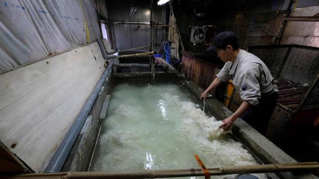 The papermaking process begins with steaming the kozo plants and peeling off the bark, which is then boiled until soft, while impurities are removed by hand in clear water. The fibres are then beaten and mixed with glue and water, before being placed on a wooden screen. Because washi is hard to break, damaged, old documents can be reinforced by attaching a piece of washi or sandwiching them between two sheets of the paper, Chinzei explained. (Kazuhiro NOGI / AFP)