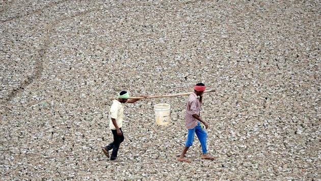 Workers carry the last bit of water from a small pond in the dried-out Puzhal reservoir on the outskirts of Chennai, Tamil Nadu. The hunt for water in south India’s main city has become an increasingly desperate obsession for its 10 million residents after months with virtually no rain. With temperatures regularly hitting 40 degrees Celsius, reservoirs have run dry and water sources are dwindling. (Arun Sankar / AFP) Workers carry the last bit of water from a small pond in the dried-out Puzhal reservoir on the outskirts of Chennai, Tamil Nadu. The hunt for water in south India’s main city has become an increasingly desperate obsession for its 10 million residents after months with virtually no rain. With temperatures regularly hitting 40 degrees Celsius, reservoirs have run dry and water sources are dwindling. (Arun Sankar / AFP)