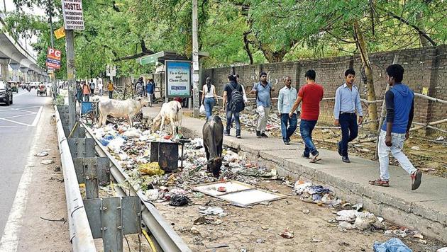Just 50 metres away from Ghitoni Metro station, the track has turned into a dumping ground with stray cattle feeding on the waste. Pedestrians cover their face as they walk on the uneven pavement next to it.(HT Photo)