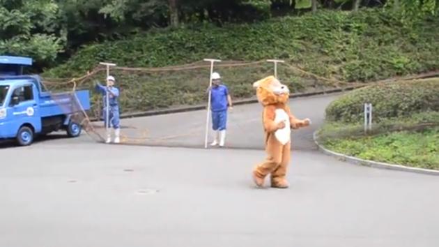 The zoo had a member of their staff dressed in a lion costume to help them out. (Twitter/@Johnny_suputama) The zoo had a member of their staff dressed in a lion costume to help them out. (Twitter/@Johnny_suputama)