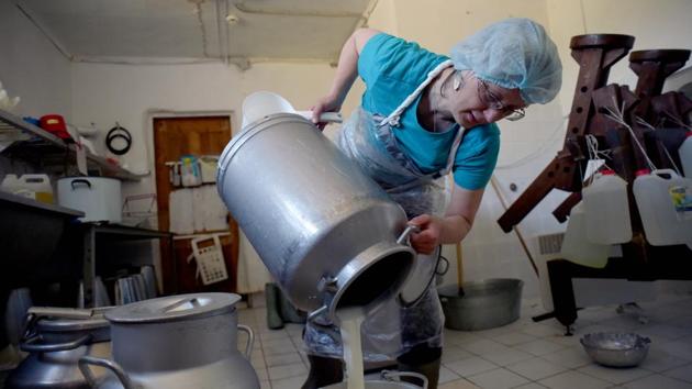 Yelena Aleneva works in the farm dairy outside the settlement of Aleksino. For Vika, the farm has been home for the last 19 years during which time she has “changed a lot”, director Aleneva said. “She has become an independent person,” she told AFP. “The goal of the farm is to integrate the residents into ordinary life as much as possible,” she added. (Olga Maltseva / AFP)