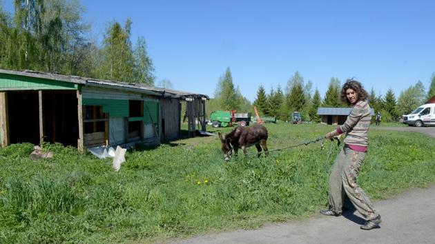 Yulia, 35, walks a donkey in a yard of the Svetlana farm. Reform proposals have been drawn up for Russia’s more than 500 state institutions for people with learning disabilities but have so far not led to concrete measures. They aim to reduce the number of old-style state homes and develop therapies like those provided by the Svetlana community. (Olga Maltseva / AFP)