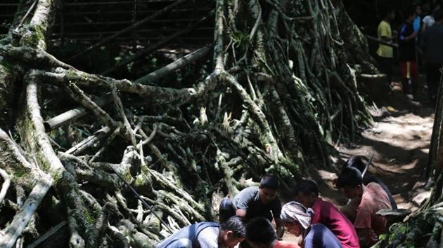 Villagers in Meghalaya’s Nohwet are seen putting dead wood from jackfruit trees mixed and a layer of soil on the living root bridge. (HT Photo)