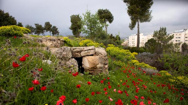 A part of the trench is seen in a former Jordanian military post known as Ammunition Hill in Jerusalem. Originally built by the British, the site was captured by Jordan in the 1948-1949 war and held by them until Israeli troops captured it in the 1967 Six Day War. Ancient ruins and medieval castles bear witness to the fact that conflict between the peoples of the Levant is nothing new. (Ronen Zvulun / REUTERS) A part of the trench is seen in a former Jordanian military post known as Ammunition Hill in Jerusalem. Originally built by the British, the site was captured by Jordan in the 1948-1949 war and held by them until Israeli troops captured it in the 1967 Six Day War. Ancient ruins and medieval castles bear witness to the fact that conflict between the peoples of the Levant is nothing new. (Ronen Zvulun / REUTERS)