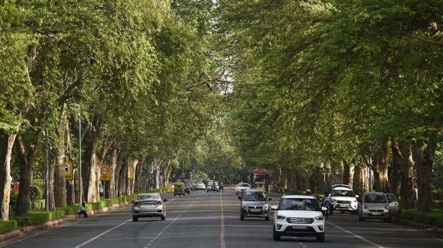 According to experts, setting up more city forests is a good initiative by the government but pointed out that these forests need to be conserved well to ensure that they do not turn into parks. (Ravi Choudhary/HT PHOTO) According to experts, setting up more city forests is a good initiative by the government but pointed out that these forests need to be conserved well to ensure that they do not turn into parks. (Ravi Choudhary/HT PHOTO)
