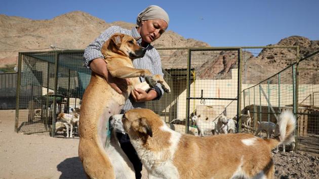 Rodica Athamneh carries a dog back among others after it underwent surgery. Athamneh says she very often has to turn some of the dogs that come the shelter’s way away or let some existing residents loose, because the shelter is simply too overcrowded. (Muhammad Hamed / REUTERS) Rodica Athamneh carries a dog back among others after it underwent surgery. Athamneh says she very often has to turn some of the dogs that come the shelter’s way away or let some existing residents loose, because the shelter is simply too overcrowded. (Muhammad Hamed / REUTERS)
