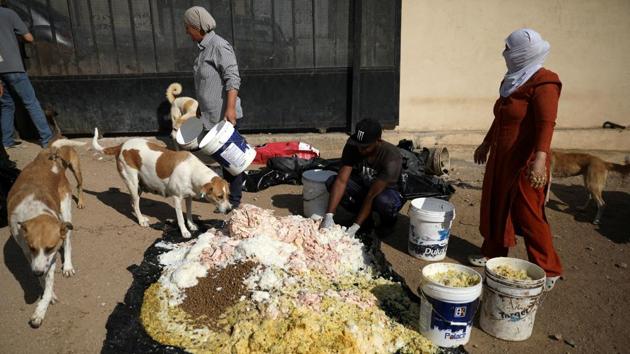 Rodica Athamneh and other volunteers prepare food for the shelter’s dogs. Athamneh, who was born in Romania but has lived in Jordan for over 35 years, said she founded Al Rabee shelter in 2013 to provide a safe space for the animals. Athmaneh said there is a fear, almost a phobia of animals in Jordan --not just of dogs, but even cats -- that the shelter hopes to counter. (Muhammad Hamed / REUTERS) Rodica Athamneh and other volunteers prepare food for the shelter’s dogs. Athamneh, who was born in Romania but has lived in Jordan for over 35 years, said she founded Al Rabee shelter in 2013 to provide a safe space for the animals. Athmaneh said there is a fear, almost a phobia of animals in Jordan --not just of dogs, but even cats -- that the shelter hopes to counter. (Muhammad Hamed / REUTERS)