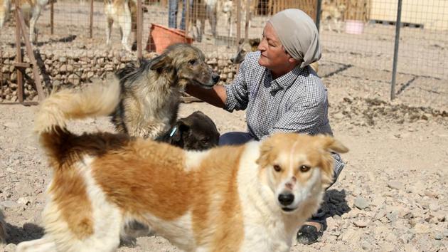 Rodica Athamneh plays with dogs in the Al Rabee Society for Nature and Animal Protection in Aqaba, Jordan. When Athamneh walks into the animal shelter she founded, dozens of dogs jump joyfully around her, almost knocking her over. (Muhammad Hamed / REUTERS) Rodica Athamneh plays with dogs in the Al Rabee Society for Nature and Animal Protection in Aqaba, Jordan. When Athamneh walks into the animal shelter she founded, dozens of dogs jump joyfully around her, almost knocking her over. (Muhammad Hamed / REUTERS)
