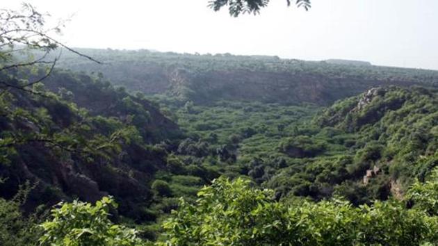 More than five days after around 400 trees were felled over the weekend in Sohna’s Saap ki Nangli, which forms a part of the protected Aravallis, the district forest department is yet to initiate criminal action as per the Forest Conservation Act (1980). (HT File Photo) More than five days after around 400 trees were felled over the weekend in Sohna’s Saap ki Nangli, which forms a part of the protected Aravallis, the district forest department is yet to initiate criminal action as per the Forest Conservation Act (1980). (HT File Photo)