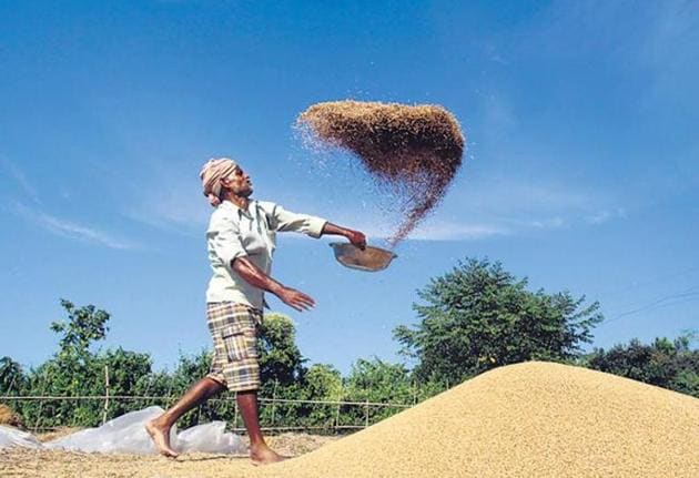 Though the wheat purchase did drop in UP under the present government this year, it is still much higher than wheat purchase being done before the current regime came to power. (Representative image) Though the wheat purchase did drop in UP under the present government this year, it is still much higher than wheat purchase being done before the current regime came to power. (Representative image)