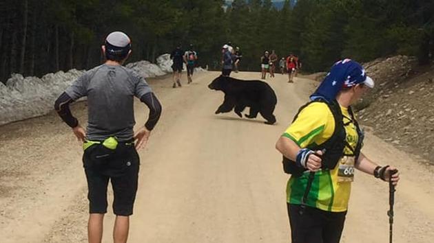One of the runners noticed the bear running along the trail. (Facebook/@Quentin Genke) One of the runners noticed the bear running along the trail. (Facebook/@Quentin Genke)