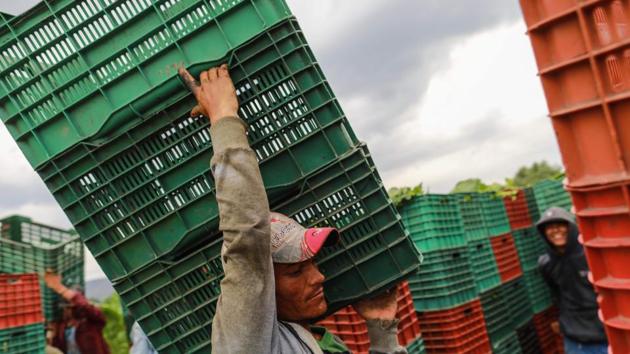 A worker is seen next to boxes of tobacco leafs at a tobacco farm in Esteli. Nicaraguan cigar exports to the US have increased by 40% since 2008, reaching 140 million cigars in 2018, outstripping the Dominican Republic and Honduras, according to figures from the Cigar Association of America (CAA). (Inti Ocon / AFP)