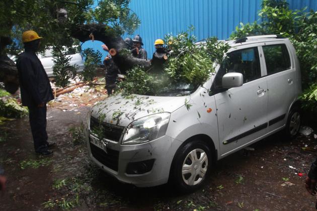 Tree collapses on two cars at Damani Estate in Thane.(Praful Gangurde/ HT)