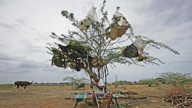 A shepherd takes rest under a tree on a dried-up lake on the outskirts of Chennai, Tamil Nadu. (P. Ravikumar / REUTERS) A shepherd takes rest under a tree on a dried-up lake on the outskirts of Chennai, Tamil Nadu. (P. Ravikumar / REUTERS)