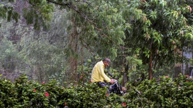 A man rides a bicycle on a rainy day at Titwala in Kalyan district of Maharashtra. (Rishikesh Choudhary / HT Photo) A man rides a bicycle on a rainy day at Titwala in Kalyan district of Maharashtra. (Rishikesh Choudhary / HT Photo)