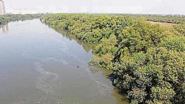 Aerial view of Thane Creek in Thane, India(Photo by Praful Gangurde/ Hindustan Times) Aerial view of Thane Creek in Thane, India(Photo by Praful Gangurde/ Hindustan Times)