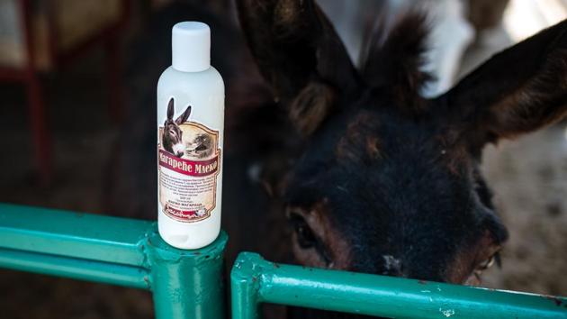 A bottle of donkey milk. For Simic, the business is also a way to protect the Balkan donkey, an animal that has become less prevalent as machines take their place in agriculture. “We are maintaining the need for this animal and now there are more and more donkey farms, the demand for donkeys is higher... which is a very good thing for us and the region,” he says. (Andrej Isakovic / AFP) A bottle of donkey milk. For Simic, the business is also a way to protect the Balkan donkey, an animal that has become less prevalent as machines take their place in agriculture. “We are maintaining the need for this animal and now there are more and more donkey farms, the demand for donkeys is higher... which is a very good thing for us and the region,” he says. (Andrej Isakovic / AFP)