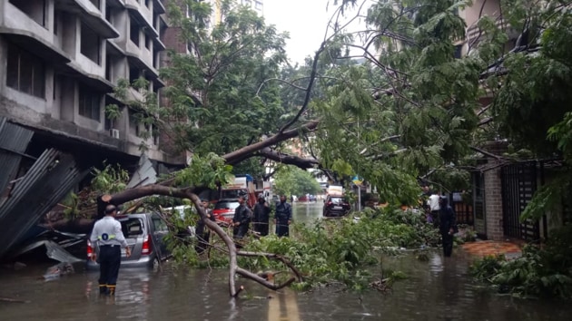 A tree that collapsed due to rains, at Tilak Nagar in Mumbai’s Chembur.(Kunal Patil / HT Photo)