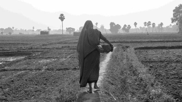 Under the blazing sun, in her slightly torn and worn-out saree, Meendevi walks for about four kilometres back and forth, making her way through the fields to throw the waste in a manure pit. “With the amount of discrimination we face, what else can we do to feed our stomach?” (Sudharak Olwe)
