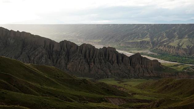Each spring, Ma travels more than 600 kilometres by road from his village in Gansu to a jumbled knot of nameless peaks in neighbouring Qinghai province. There, he joins an army of about 80 people hired by a local company to find and pick Ophiocordyceps sinensis. In recent years, cordyceps companies in Qinghai have been paying locals millions of yuan for the right to cordon off an entire mountain each season. (Aly Song / REUTERS) Each spring, Ma travels more than 600 kilometres by road from his village in Gansu to a jumbled knot of nameless peaks in neighbouring Qinghai province. There, he joins an army of about 80 people hired by a local company to find and pick Ophiocordyceps sinensis. In recent years, cordyceps companies in Qinghai have been paying locals millions of yuan for the right to cordon off an entire mountain each season. (Aly Song / REUTERS)