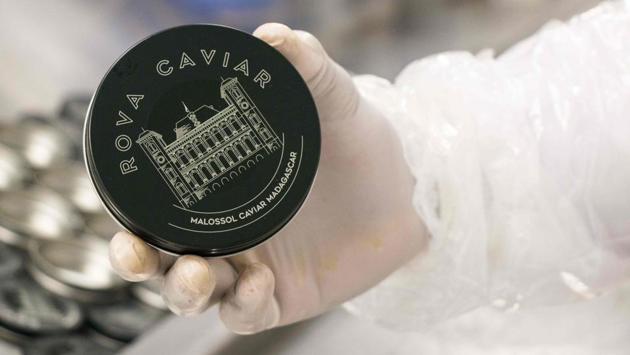 A worker from the company Rova Caviar Madagascar shows a box for caviar at the Acipenser factory, in Mantasoa. “A lot of people laughed at us,” said Delphyne Dabezies, the head of Rova Caviar, admitting that the enterprise was a big gamble. “But we took the time to prove that this is serious. Madagascar caviar is now the only caviar produced in Africa and the Indian Ocean.” (Mamyrael / AFP)