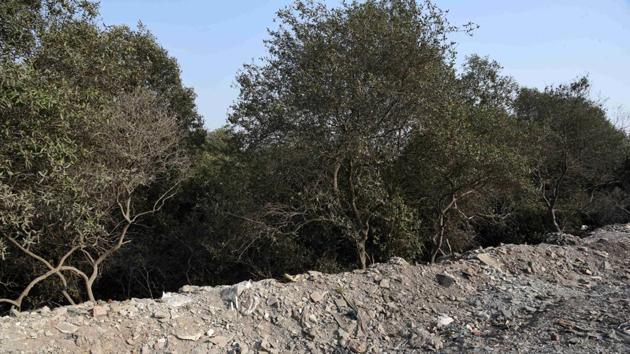 Maharashtra’s mangroves committee had identified 15 reclaimed locations that needed to be restored in November.(HT Photo) Maharashtra’s mangroves committee had identified 15 reclaimed locations that needed to be restored in November.(HT Photo)