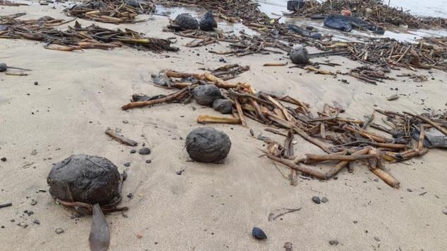 BMC has warned visitors not to touch the tar balls on Juhu beach.(Sarita Fernandes/Vanashakti)