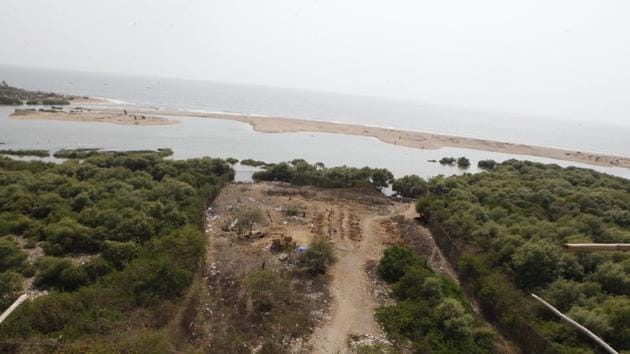 File photo of a stretch of mangroves near Juhu-Versova Link road, at Andheri, in Mumbai.(HT File)