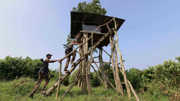 Forest guards climb a temporary surveillance tower in Kaziranga National Park. “We are always on our toes in this season. There is hardly any rest for us. Information about poachers entering the park comes anytime and we have to respond immediately,” explains ranger Gopi Kanta Deka. “We walk in groups from one anti-poaching camp to another or paddle boats during high floods to reach those areas from where the information has come in and get to the job quickly,” he adds. (Biju Boro / AFP) 