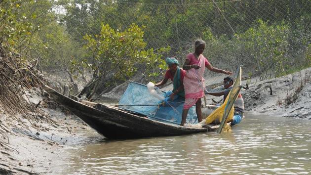 Fifty-year-old Banalata, who is a resident of Gosaba area, about 87 km to the south of Kolkata, was on a boat when a tiger suddenly attacked the boat.(HT FILE PHOTO.) Fifty-year-old Banalata, who is a resident of Gosaba area, about 87 km to the south of Kolkata, was on a boat when a tiger suddenly attacked the boat.(HT FILE PHOTO.)