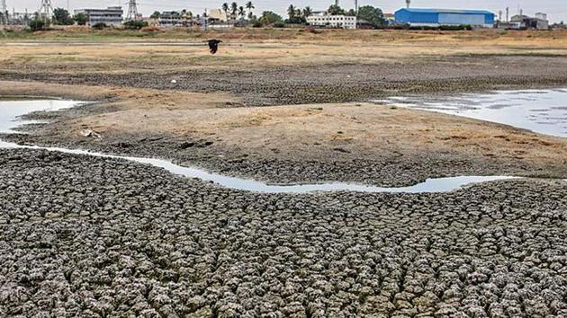 Cracked earth is seen on the bottom of the dried-out Porur Lake in Chennai. Water crisis in Chennai have forced the city’s inhabitants to depend on water tankers. (Dhiraj Singh/Bloomberg) Cracked earth is seen on the bottom of the dried-out Porur Lake in Chennai. Water crisis in Chennai have forced the city’s inhabitants to depend on water tankers. (Dhiraj Singh/Bloomberg)