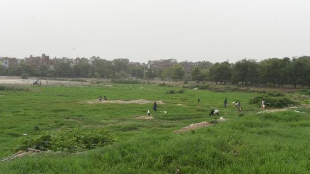 The dried-up Shahdara Lake in east Delhi. (Sonu Mehta/HT Photo) The dried-up Shahdara Lake in east Delhi. (Sonu Mehta/HT Photo)