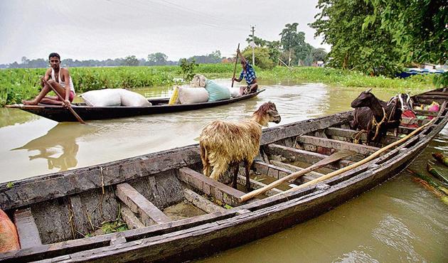 Villagers transport food grains and animals on a boat in Burha Burhi village of Gauhati on Monday. (Photo: AP) Villagers transport food grains and animals on a boat in Burha Burhi village of Gauhati on Monday. (Photo: AP)