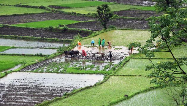 Delayed monsoon slows down kharif sowing by 12.57% as compared to last ...