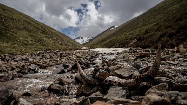 Dhanaulti is fast emerging as the next big tourist hill station.(REUTERS Photo) Dhanaulti is fast emerging as the next big tourist hill station.(REUTERS Photo)