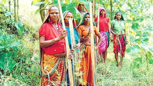 The first right FRA confers is individual forest rights (IFRs) to habitation and cultivation. The critics of FRA assailed it as a forest give-away. Some of them even took the maximum limit on IFRs (four hectares), and multiplied it by the number of scheduled tribe families in India to declare that millions of hectares of forest would be lost.(HT FILE PHOTO)