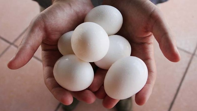 The Congress-led government in Chhattisgarh has said ‘separate arrangements’ for boiling eggs will be made for children, who want to eat them during mid-day meals at schools.(AFP file photo)