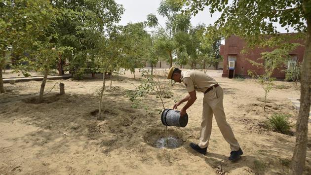 A policeman waters plants at the station. The reputation wasn’t built overnight, says Pradeep Mohan Sharma, the superintendent of police (Bikaner). “Five SHOs have served at this police station. All of them were officers with impeccable integrity. They ensured that their subordinates were at their best while dealing with the public. Now, any officer who is posted there knows what the reputation is and what is to be done to maintain it,” said Sharma. (Biplov Bhuyan / HT Photo) A policeman waters plants at the station. The reputation wasn’t built overnight, says Pradeep Mohan Sharma, the superintendent of police (Bikaner). “Five SHOs have served at this police station. All of them were officers with impeccable integrity. They ensured that their subordinates were at their best while dealing with the public. Now, any officer who is posted there knows what the reputation is and what is to be done to maintain it,” said Sharma. (Biplov Bhuyan / HT Photo)