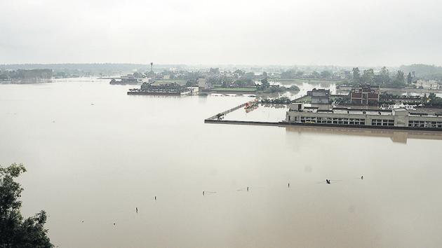 Paddy fields submerged into knee-deep water on Patiala-Dakala road on Wednesday , July 17, 2019.(Bharat Bhushan / HT Photo) Paddy fields submerged into knee-deep water on Patiala-Dakala road on Wednesday , July 17, 2019.(Bharat Bhushan / HT Photo)