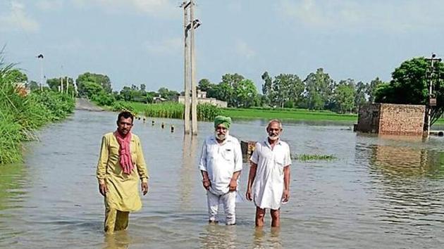 Farmers in their inundated fields in a village in Muktsar on Thursday, July 18, 2019.(HT Photo)