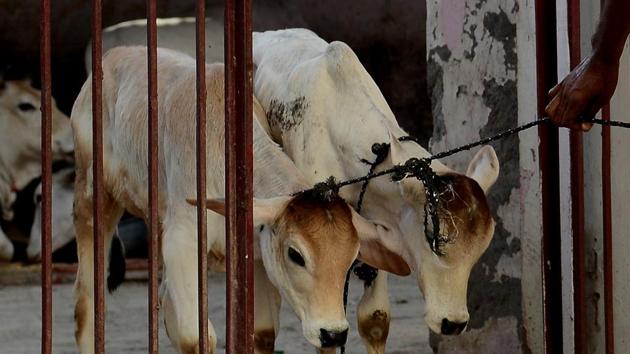 Three men were beaten to death by a mob over a suspicion they were stealing cattle in a village in Bihar’s Saran district on Thursday night. (Representative Image)(AFP)