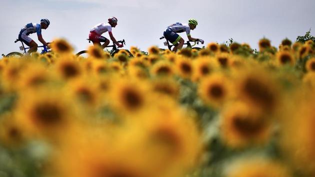 Belgium’s Thomas De Gendt, France’s Stephane Rossetto and France’s Lilian Calmejane ride in a breakaway, with sunflowers in the foreground during the eleventh stage of the 106th edition of the Tour de France cycling race between Albi and Toulouse, France. (Marco Bertorello / AFP) Belgium’s Thomas De Gendt, France’s Stephane Rossetto and France’s Lilian Calmejane ride in a breakaway, with sunflowers in the foreground during the eleventh stage of the 106th edition of the Tour de France cycling race between Albi and Toulouse, France. (Marco Bertorello / AFP)