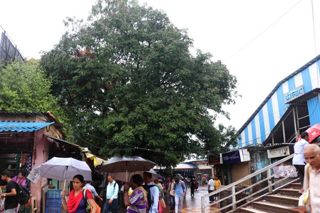 In April, CR had written to the AMC, asking for permission to cut the trees which are on the station’s eastern side, so that it can add additional tracks and infrastructure. In April, CR had written to the AMC, asking for permission to cut the trees which are on the station’s eastern side, so that it can add additional tracks and infrastructure.