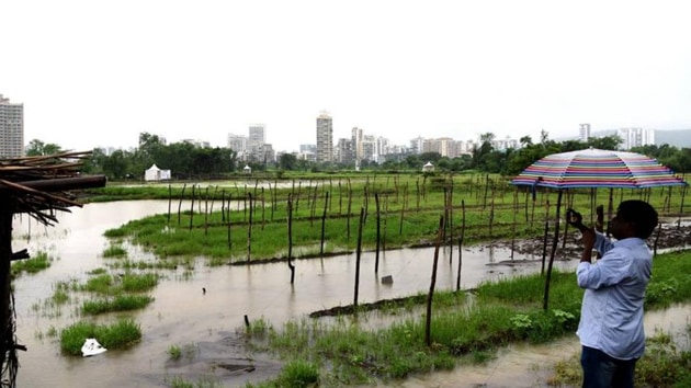 The Kharghar land was given to Koyna project-affected persons who later sold it to a builder.(HT Photo)