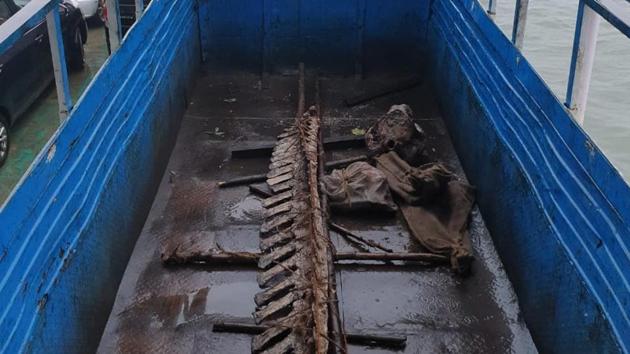 The Cuvier’s beaked whale skeleton was transported via ferry and then a truck.(HT PHOTO)